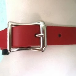 Ape Leather Choker With One Welded D-ring And O-ring - Red On Red Leather Men's Stuff