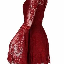 ReStyle Gothic Eyelash Lace Dress Burgundy Women's Stuff
