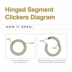 BodyVibe Surgical Steel Basic Hinged Segment Ring - 18g 5/16" Jewelry 7 BodyVibe Surgical Steel Basic Hinged Segment Ring - 18g 5/16