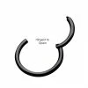 BodyVibe Black Plated Hinged Segment Ring - 18g 3/8" Jewelry